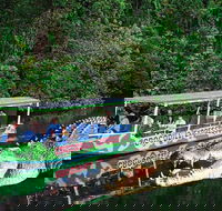 Daintree River Cruise - Tourism Hervey Bay