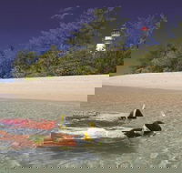 Wavedancer Low Isles Great Barrier Reef Sailing Cruise from Palm Cove - Tourism Hervey Bay