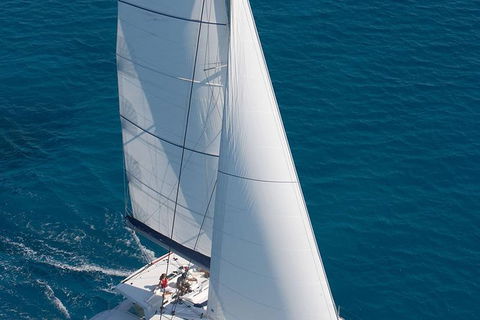 Afternoon Low Isles Snorkeling And Sailing Cruise From Port Douglas - Hervey Bay Accommodation 1