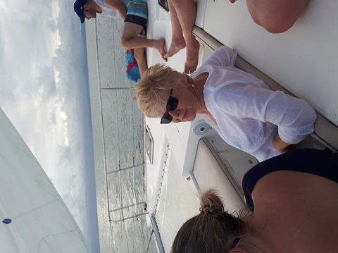 Afternoon Low Isles Snorkeling And Sailing Cruise From Port Douglas - Hervey Bay Accommodation 5