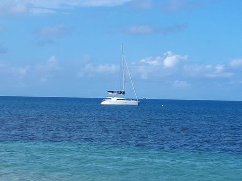Afternoon Low Isles Snorkeling And Sailing Cruise From Port Douglas - Hervey Bay Accommodation 7