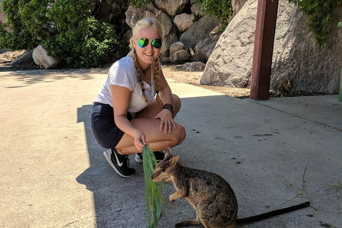 Magnetic Island Tour: Maggie Comprehensive - Tourism Hervey Bay 9