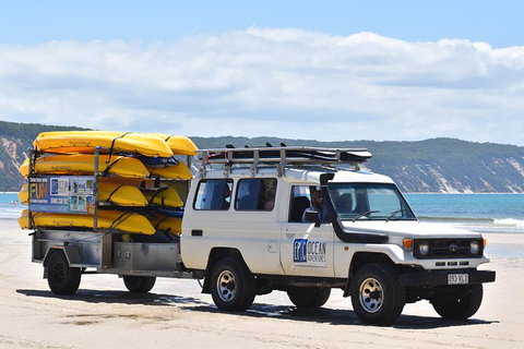 Half-Day Kayak With Dolphins And 4WD Beach Drive From Rainbow Beach - Hervey Bay Accommodation 13