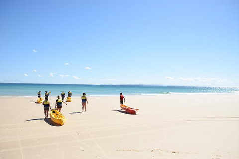 Half-Day Kayak With Dolphins And 4WD Beach Drive From Rainbow Beach - Hervey Bay Accommodation 10