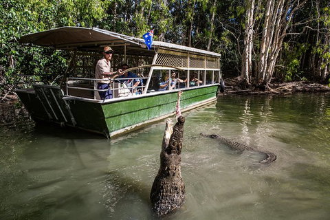 Hartley\'s Crocodile Adventures Day Trip From Palm Cove - Hervey Bay Accommodation 2