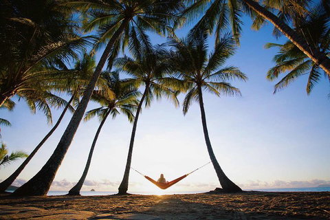 Port Douglas And Hartley's Crocodile Adventure Day Trip From Cairns - Hervey Bay Accommodation 0