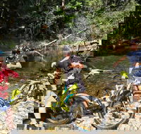 Electric Mountain Bike Rainforest Eco Tour - Tourism Hervey Bay