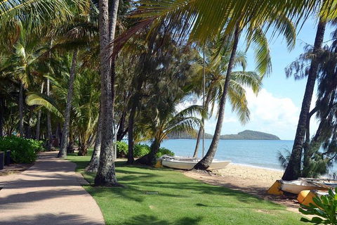 Palm Cove, Clifton Beach, Kewarra Beach To/from Cairns - Tourism Hervey Bay 0