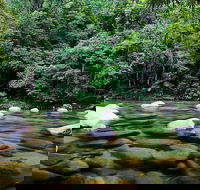 Mossman Silky Oaks to/from Cairns - Tourism Hervey Bay