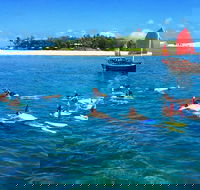 Low Island Snorkelling Private Charter Aboard Authentic Chinese Junk Boat