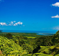 Cape Tribulation Day Tour - Tourism Hervey Bay