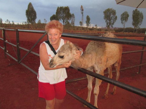 Uluru Small-Group Tour By Camel At Sunrise Or Sunset - Hervey Bay Accommodation 18