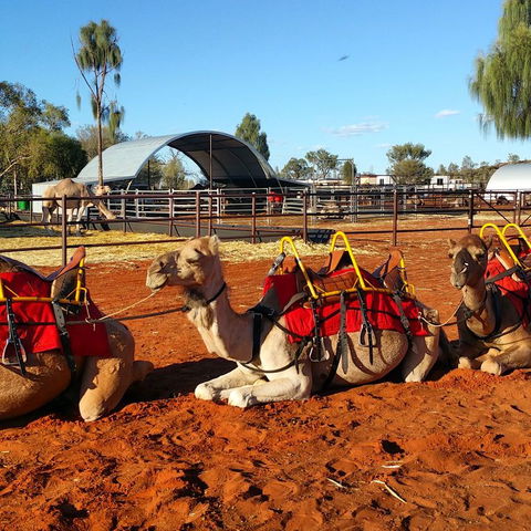 Uluru Small-Group Tour By Camel At Sunrise Or Sunset - Hervey Bay Accommodation 15