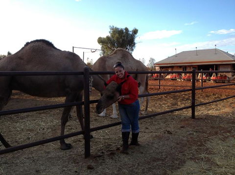 Uluru Small-Group Tour By Camel At Sunrise Or Sunset - Hervey Bay Accommodation 21