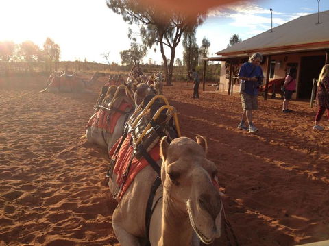 Uluru Small-Group Tour By Camel At Sunrise Or Sunset - Hervey Bay Accommodation 22
