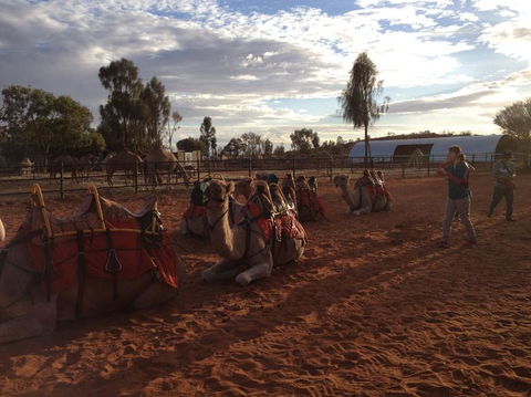Uluru Small-Group Tour By Camel At Sunrise Or Sunset - Hervey Bay Accommodation 23