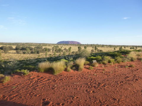 Uluru Small-Group Tour By Camel At Sunrise Or Sunset - Hervey Bay Accommodation 9