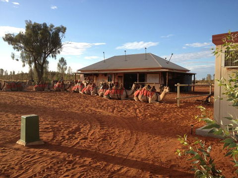 Uluru Small-Group Tour By Camel At Sunrise Or Sunset - Hervey Bay Accommodation 19