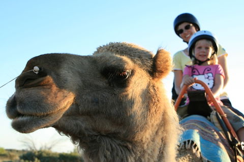 Uluru Small-Group Tour By Camel At Sunrise Or Sunset - Hervey Bay Accommodation 3