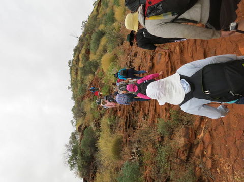 Kings Canyon Day Trip From Ayers Rock - Hervey Bay Accommodation 14