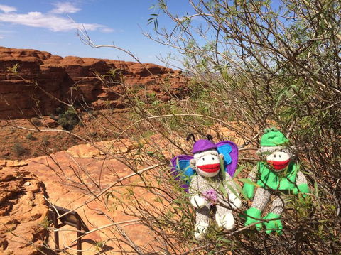 Kings Canyon Day Trip From Ayers Rock - Hervey Bay Accommodation 23