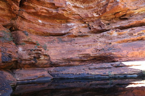 Kings Canyon Day Trip From Ayers Rock - Hervey Bay Accommodation 16