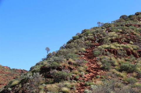 Kings Canyon Day Trip From Ayers Rock - Hervey Bay Accommodation 21