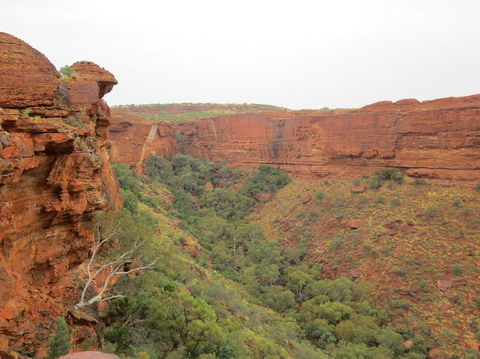 Kings Canyon Day Trip From Ayers Rock - Hervey Bay Accommodation 13