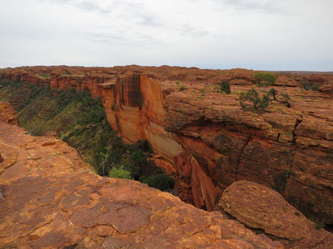 Kings Canyon Day Trip From Ayers Rock - Hervey Bay Accommodation 10