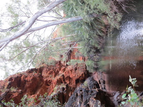 Kings Canyon Day Trip From Ayers Rock - Hervey Bay Accommodation 11