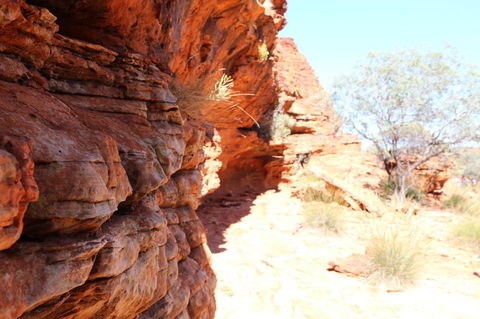 Kings Canyon Day Trip From Ayers Rock - Hervey Bay Accommodation 20