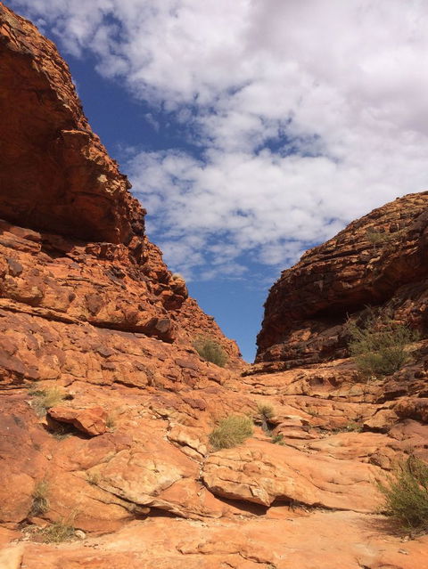 Kings Canyon Day Trip From Ayers Rock - Hervey Bay Accommodation 25