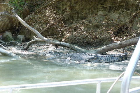 Kakadu Full-Day Tour From Darwin With Lunch - Tourism Hervey Bay 2