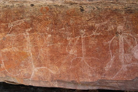 Kakadu Full-Day Tour From Darwin With Lunch - Tourism Hervey Bay 1