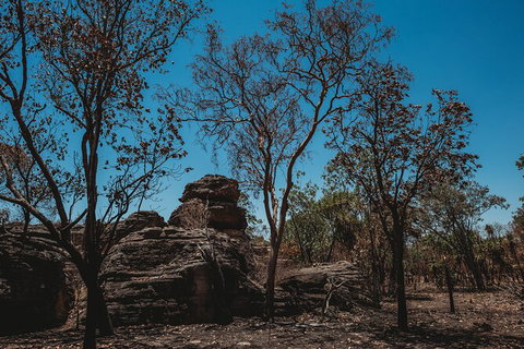 Kakadu Full-Day Tour From Darwin With Lunch - Tourism Hervey Bay 6