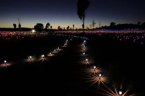Uluru Field Of Light Sunrise Tour - Hervey Bay Accommodation 2