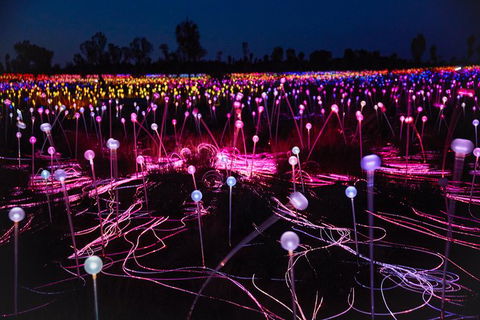 Uluru Field Of Light Sunrise Tour - Hervey Bay Accommodation 1