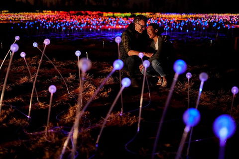 Uluru Field Of Light Sunrise Tour - Hervey Bay Accommodation 6