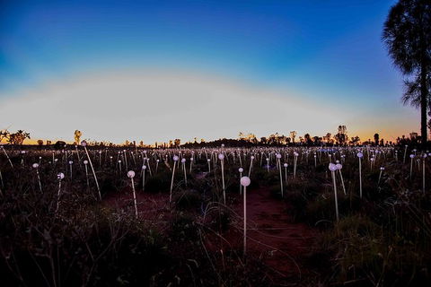Uluru Field Of Light Sunrise Tour - Hervey Bay Accommodation 8