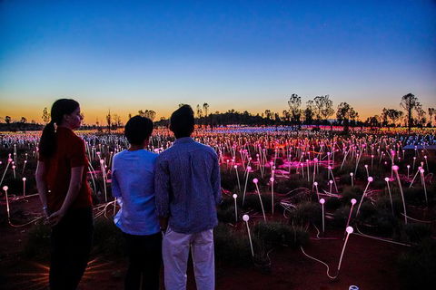 Uluru Field Of Light Sunrise Tour - Hervey Bay Accommodation 5