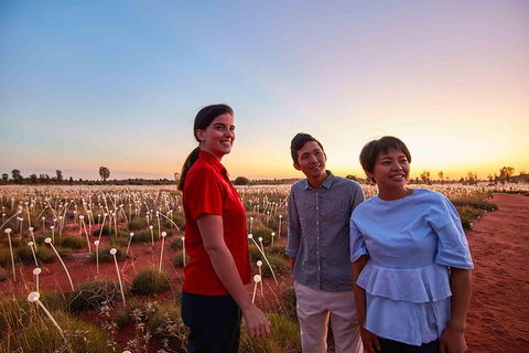 Uluru Field Of Light Sunrise Tour - Hervey Bay Accommodation 11