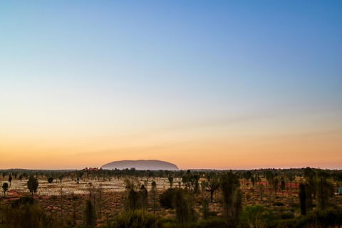 Uluru Field Of Light Sunrise Tour - Hervey Bay Accommodation 12