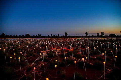 Uluru Field Of Light Sunrise Tour - Hervey Bay Accommodation 7