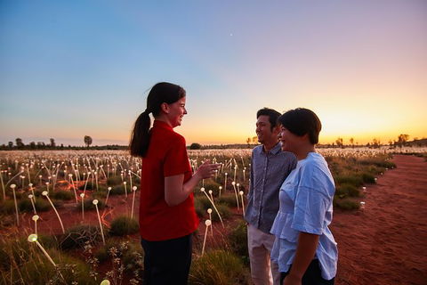 Uluru Field Of Light Sunrise Tour - Hervey Bay Accommodation 9