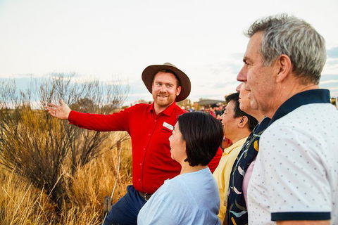Uluru (Ayers Rock) Sunset With Outback Barbecue Dinner And Star Tour - Hervey Bay Accommodation 22