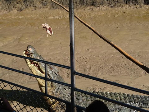 Litchfield And Jumping Crocodiles Full Day Trip From Darwin - Tourism Hervey Bay 5