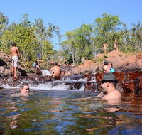 Litchfield and Jumping Crocodiles Full Day Trip from Darwin - Tourism Hervey Bay