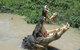 Litchfield And Jumping Crocodiles Full Day Trip From Darwin - thumb 18