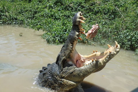 Litchfield And Jumping Crocodiles Full Day Trip From Darwin - Tourism Hervey Bay 18