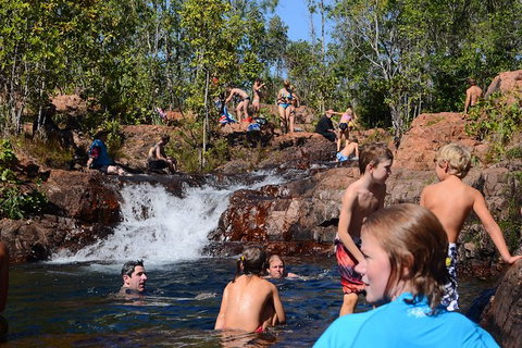Litchfield And Jumping Crocodiles Full Day Trip From Darwin - Tourism Hervey Bay 10